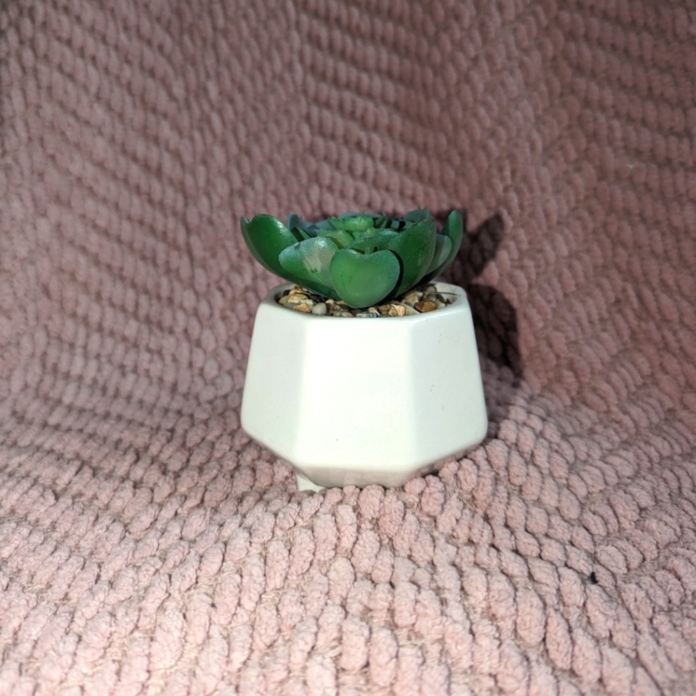Artificial succulent potted plant decor